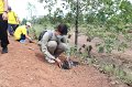20210526-Tree planting dayt-037